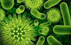 baktériumok Nem feltétlenül a gyógyszer