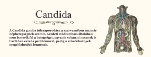 candida-300x113 Tisztító diéta (a Candida nyomában)