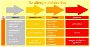 allergia-1-300x156 Allergia